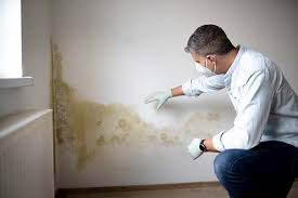 Best Mold Documentation for Insurance Claims  in USA